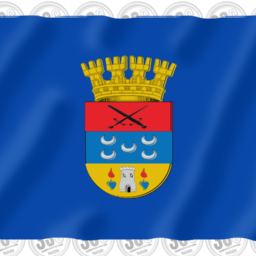Bandera de San Carlos
